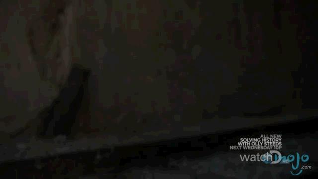 贝爷荒野求生吃恶心的东西,贝爷恶心的十大时刻