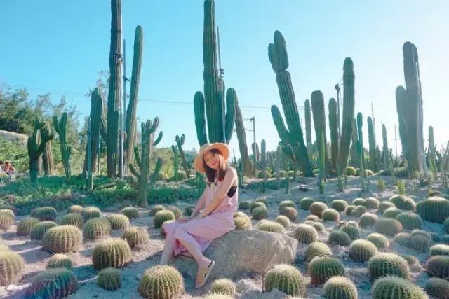 去厦门旅游自由行攻略图,超级详细厦门旅游攻略