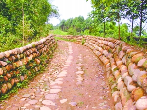 中国古羌人迁徙历史,古羌人现在还存在吗