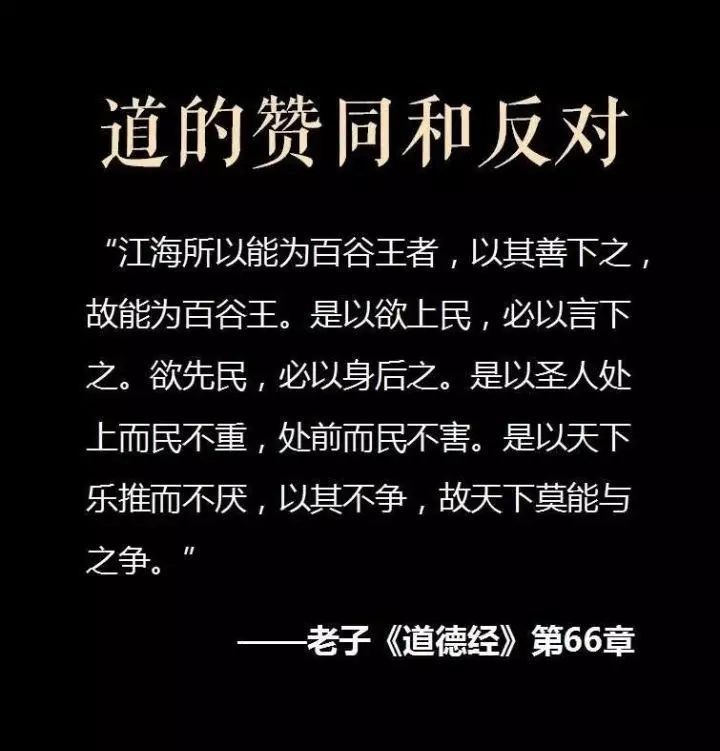 冯鑫智慧语录,冯鑫讲话