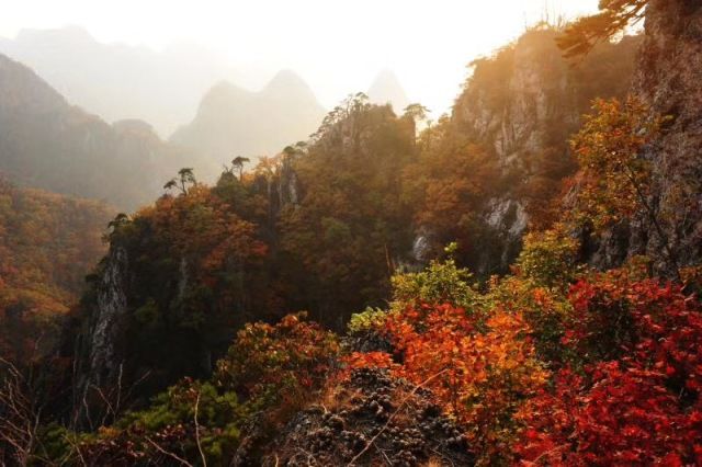 新鲜出炉~赏枫HOT！百名摄影家齐聚庄河天门山