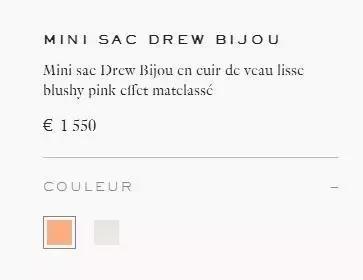 刘雯背的新款包是什么品牌,刘雯背过的一款蔻驰的包包