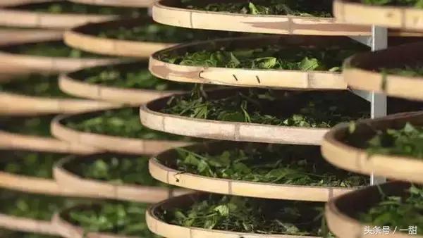 抹茶粉是绿茶做的,抹茶粉用哪种绿茶做