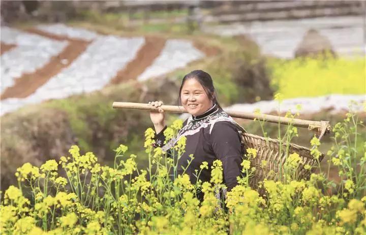 2018全国人民调解员先进个人名单,20大人民代表名单