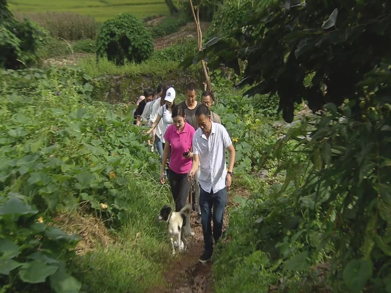 小伙伴们准备好了吗配音,小伙伴们准备好了吗语音