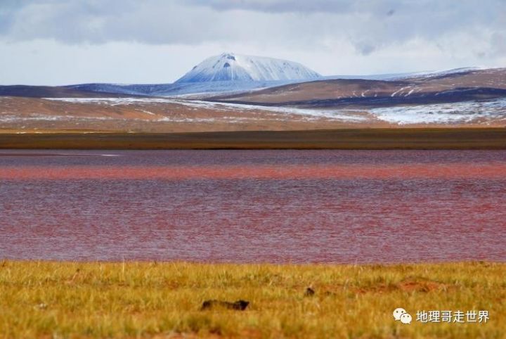 藏北高原无人区攻略,藏北无人区风景美如画