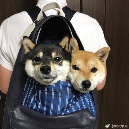 朋友圈晒旅行照的女生,美女朋友圈晒旅游照