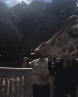 记性不好发朋友圈的幽默句子,记性不好老是忘事怎么办