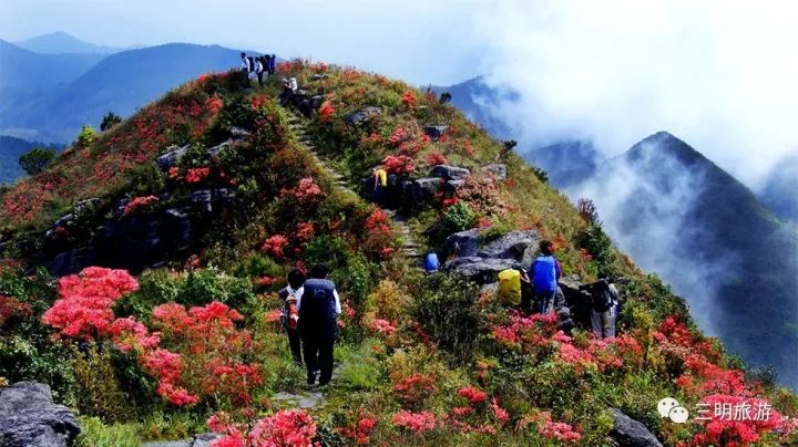 其实三元也不是很好，只有这三大美而已！