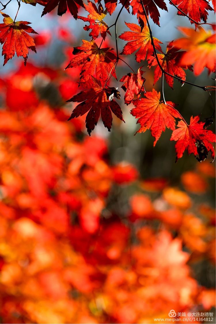 庄河天门山有哪些景观,庄河天门山全景