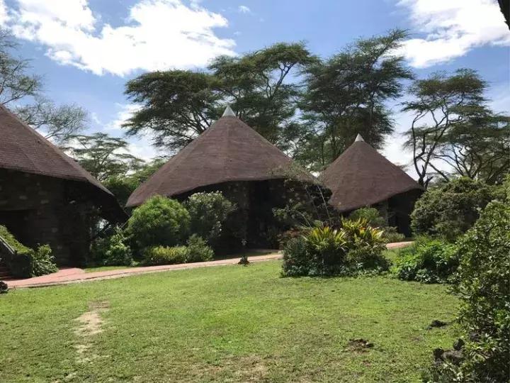 曾哥美国视频,曾哥美国