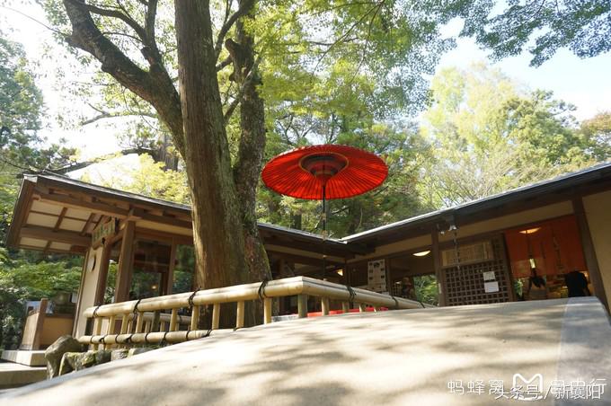 带娃去日本一周自由行,带四岁孩子去日本穷游攻略