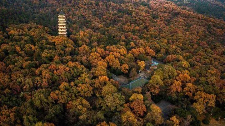 南京骑行最美路线浦口老山,南京十大最美骑行路