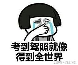 深圳驾校名称大全,深圳驾校有哪些项目