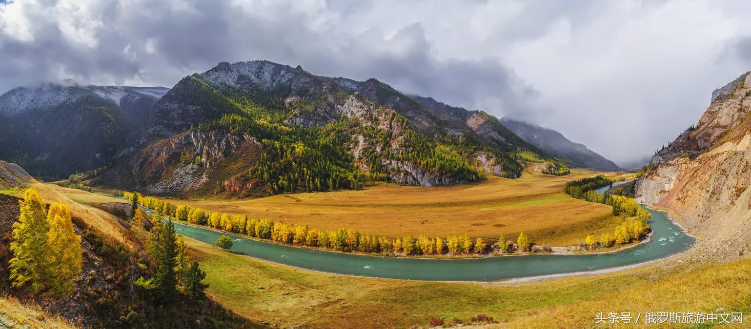 坑人的坑,坑人的坑在哪里