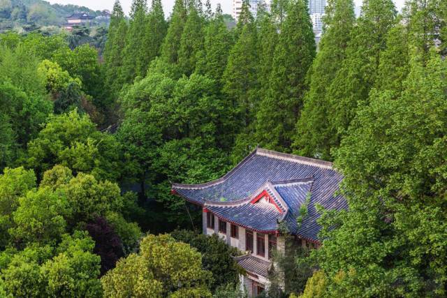 120年校庆南京,南京百年校庆九校同庆