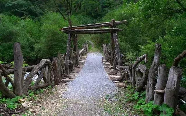 四川看红叶最佳地方自驾游,四川彩林红叶最佳观赏地点