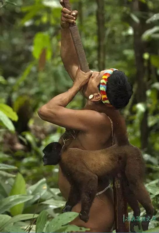 吹一口气就能百步外取人性命？土著*箭吹**技能难在什么地方