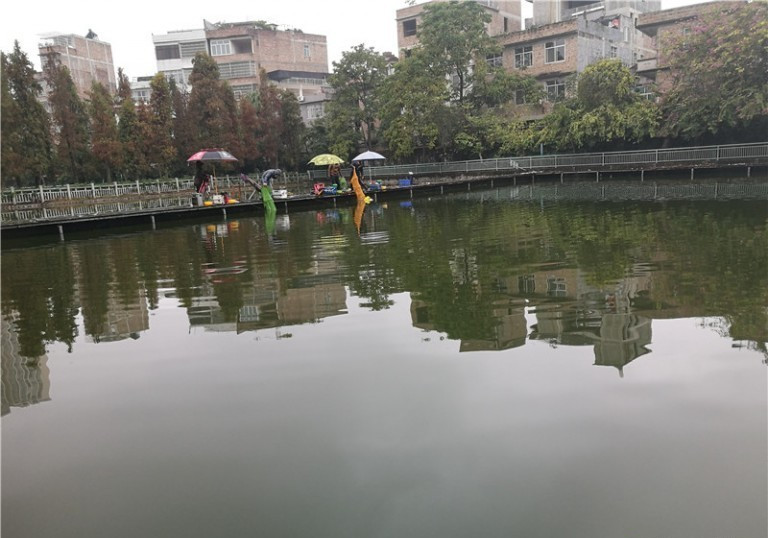 最后几天在玉林，别人掐鱼我练杆