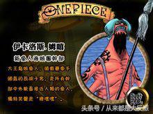 海贼王里一共出现过多少人物(四)(超新星等)