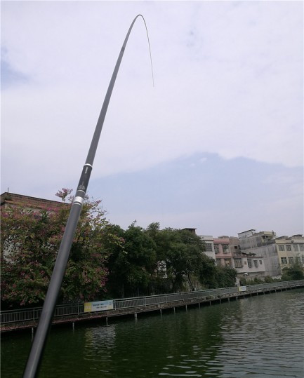 最后几天在玉林，别人掐鱼我练杆