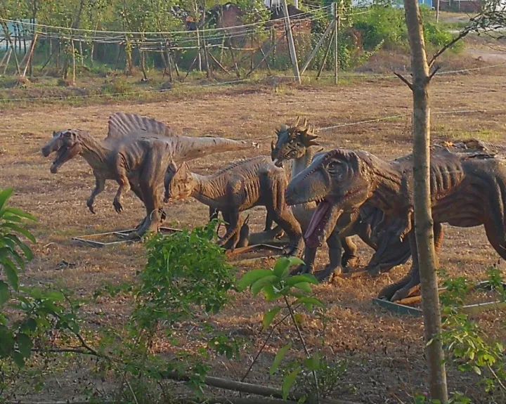 双十一｜光棍节，惠州紫溪半岛*光脱**攻略