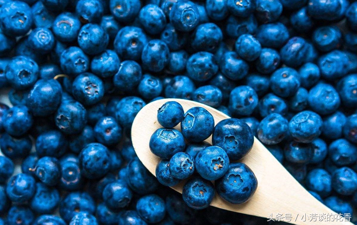 每天必吃十种水果,夏季必备5种健康水果