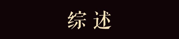 如何运用《道德经》去作为？——冯鑫品读《道德经》