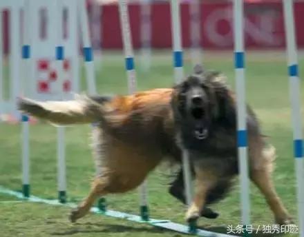 拍照模糊了怎么解决,拍照模糊如何去掉