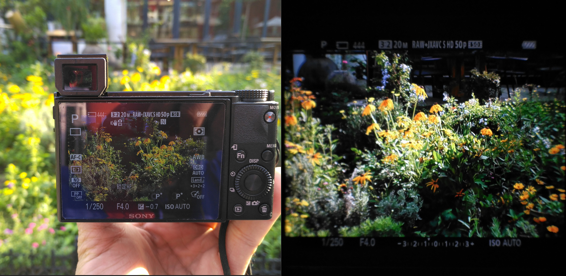 索尼黑卡rx100m4代与微单m6,索尼黑卡rx100和rx100m5