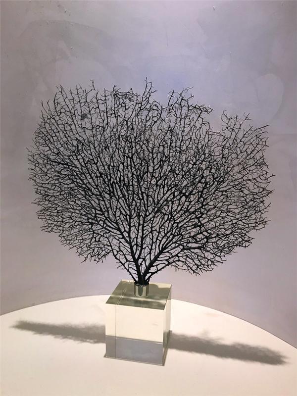 我到过许多地方是指哪里,我去过的地方皆是你看过的风景