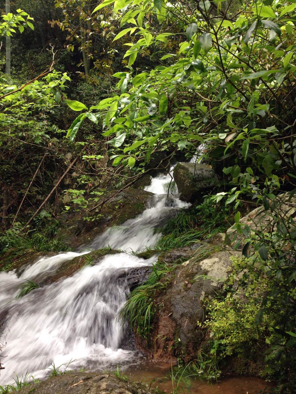 赣南小溪石斑鱼干,赣州石伏鱼