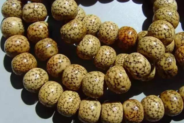 买星月菩提颜色均匀是不好吗,刚买的星月菩提怎么感觉像塑料的