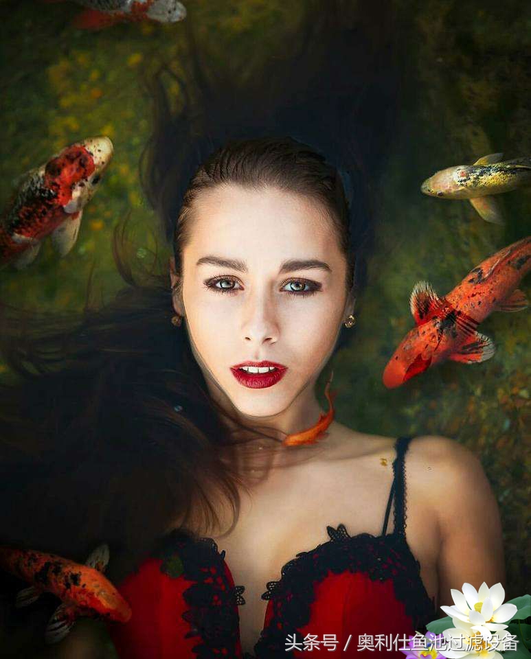 渔夫与美人鱼的故事,美人鱼和小鱼的故事文字