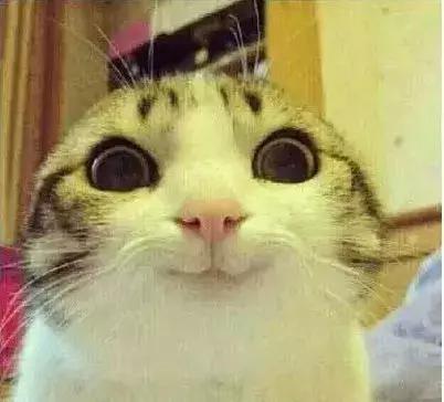 石家庄高中放假时间2022寒假通知,石家庄高校寒假放假最新通告