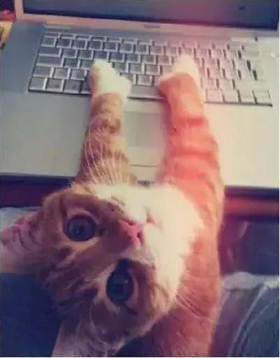 石家庄高中放假时间2022寒假通知,石家庄高校寒假放假最新通告