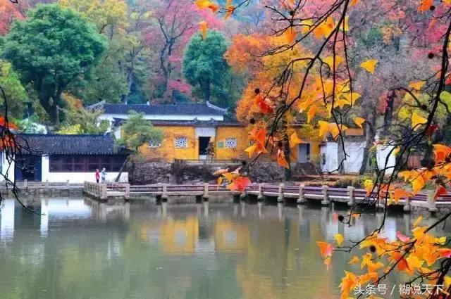 苏州吴中哪个区比较好,苏州吴中附近有哪些区