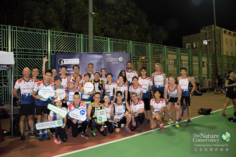 在大自然中自由奔跑,在自然奔跑