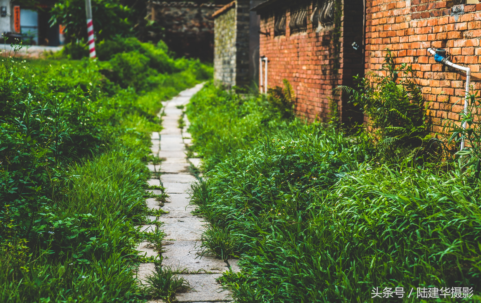 东莞世界工厂历史,东莞世界工厂遗址