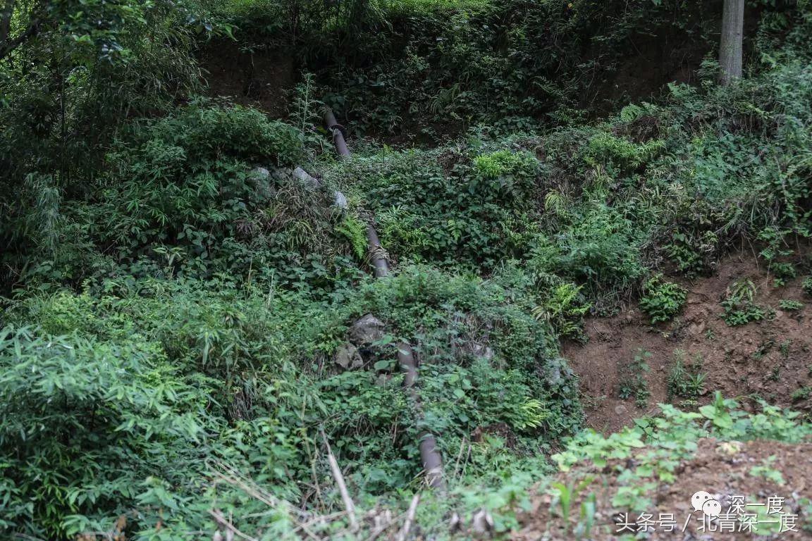 「看见」泥坑里的“鹿晗”和吃土豆的孩子：80张图，读懂中国脱贫