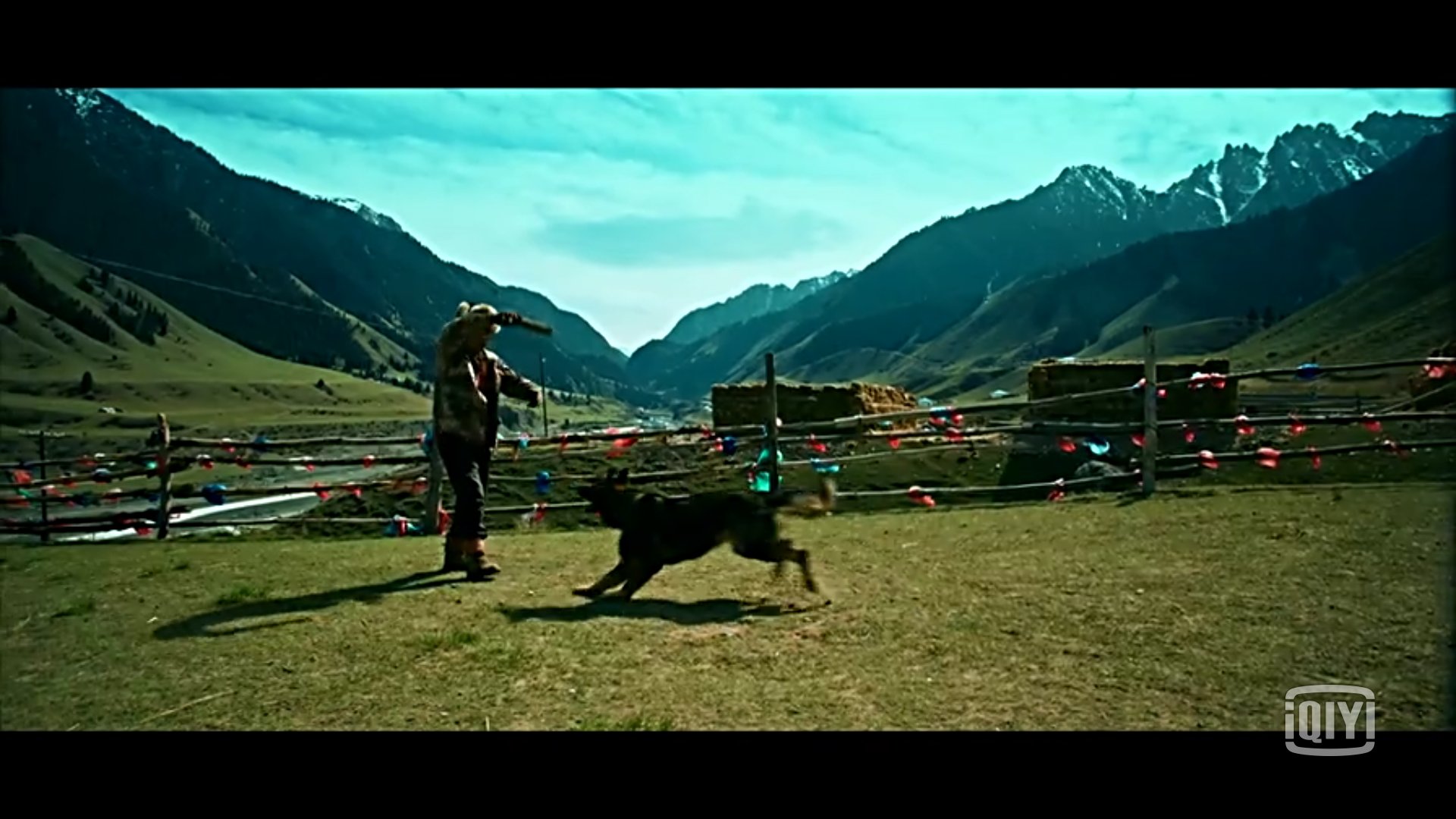 血狼犬黄宏完整版,血狼犬黄宏回忆往事泪流满面