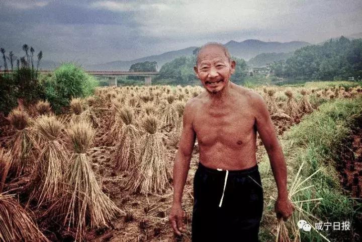 咸宁崇阳十大景点,湖北咸宁崇阳有什么风景