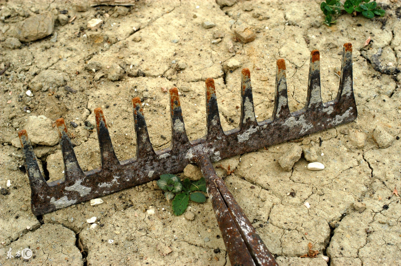 被刺伤需要打破伤风吗,被刀割伤后多久打破伤风有效