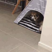 东盟商家“一带一路”加快后市场合作；宝马或将面临80亿欧元罚款