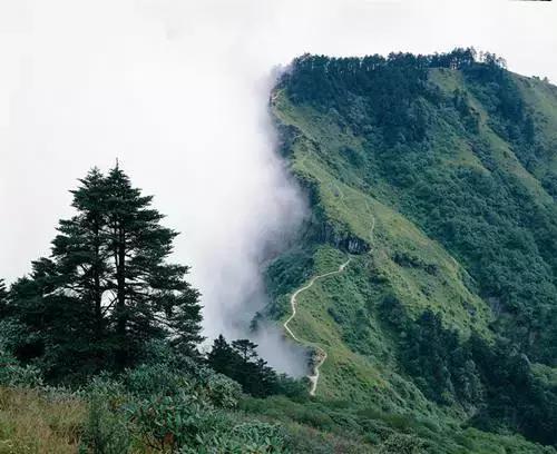 美雪哭了视频完整版,冬天的西岭雪山风景