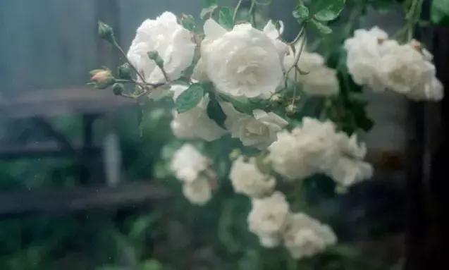 「解惑」为什么结婚后妇科病就多了呢?