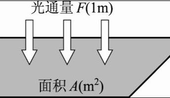 显示器各个参数讲解,显示器的各种参数解读