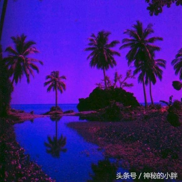 网易云热评墙NO.55