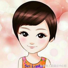 我在斯里兰卡,斯里兰卡买一套小房子多少钱