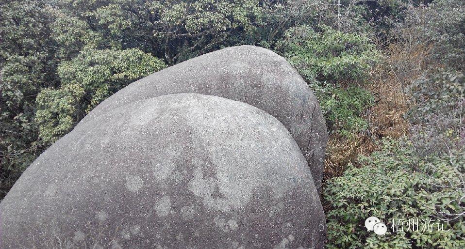 肇庆七星岩洞穴探险,广东肇庆七星岩自驾游攻略
